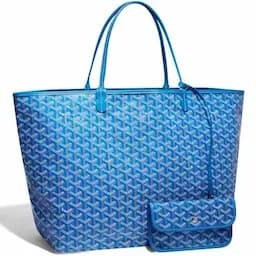 Goyard Saint Louis